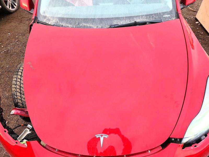 Photo 11 from auction – 2023 TESLA MODEL Y with VIN 7SAYGDEE1PF582828