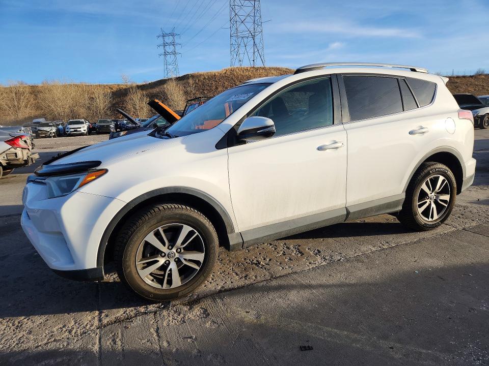 TOYOTA RAV4 XLE 2016 with VIN 2T3RFREV7GW486262 - Photo from auction
