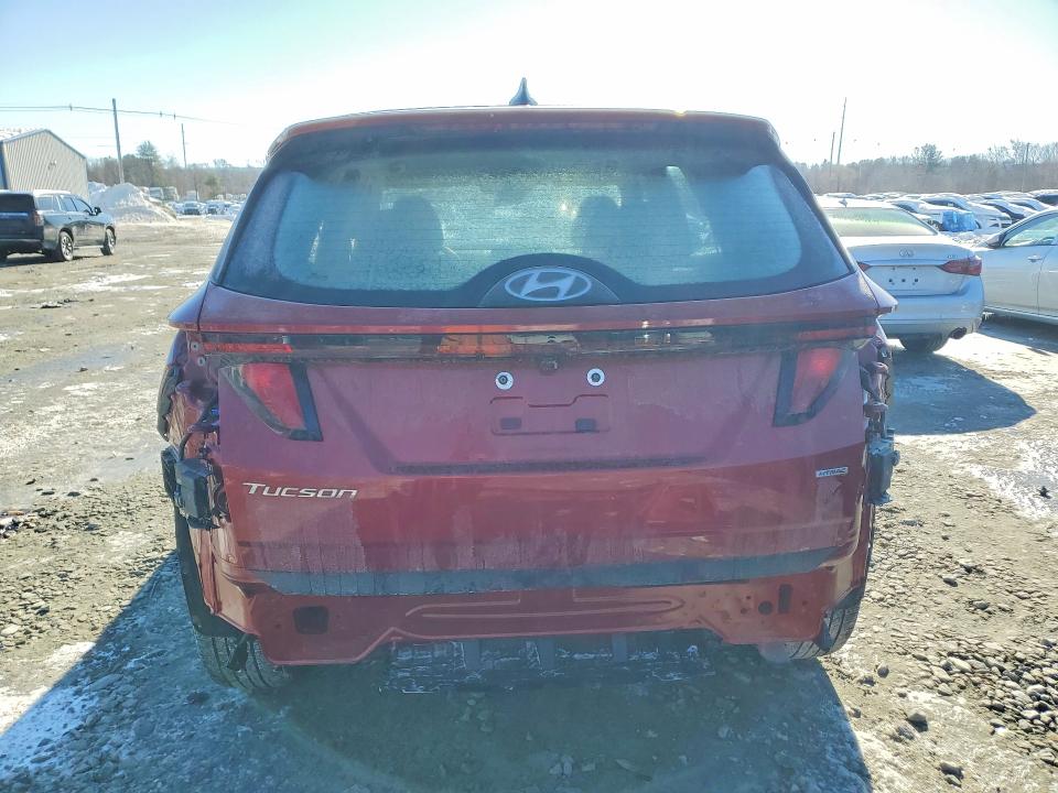 Photo 6 from auction – 2024 HYUNDAI TUCSON SE with VIN 5NMJACDE2RH437875