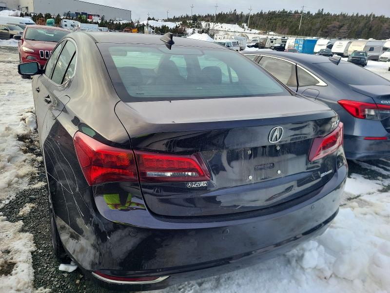 Photo 6 from auction – 2017 ACURA TLX ADVANC with VIN 19UUB3F70HA800869