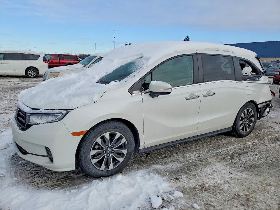 HONDA ODYSSEY 2021 with VIN 5FNRL6H77MB020692 - Photo from auction