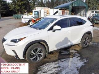 LEXUS NX 2018 with VIN JTJYARBZ6J2104303 - Photo from auction