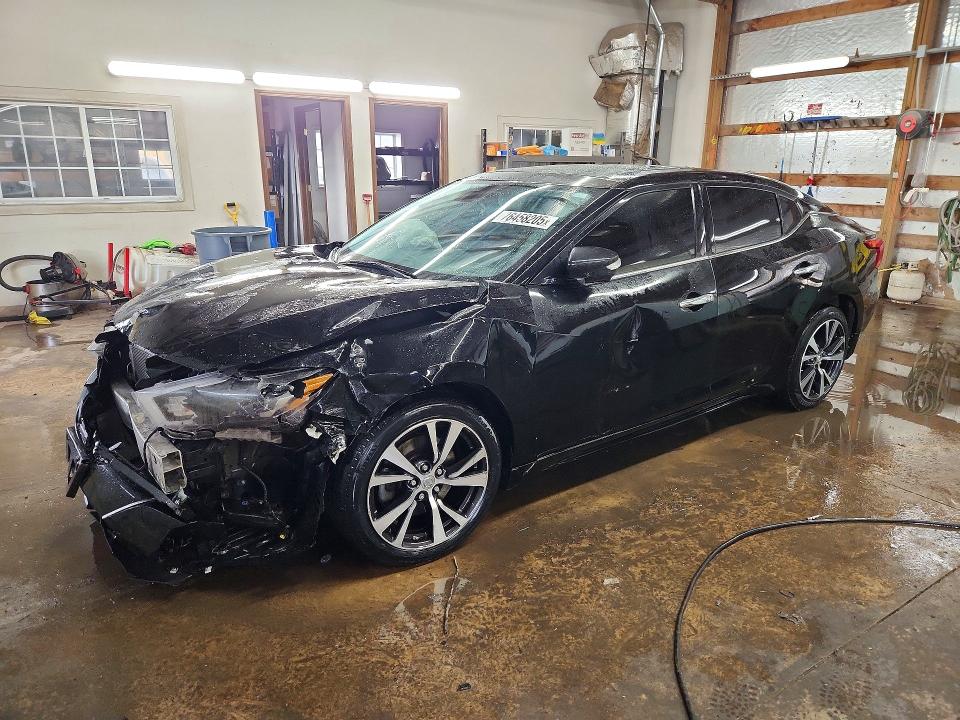 NISSAN MAXIMA 2017 with VIN 1N4AA6AP7HC375173 - Photo from auction