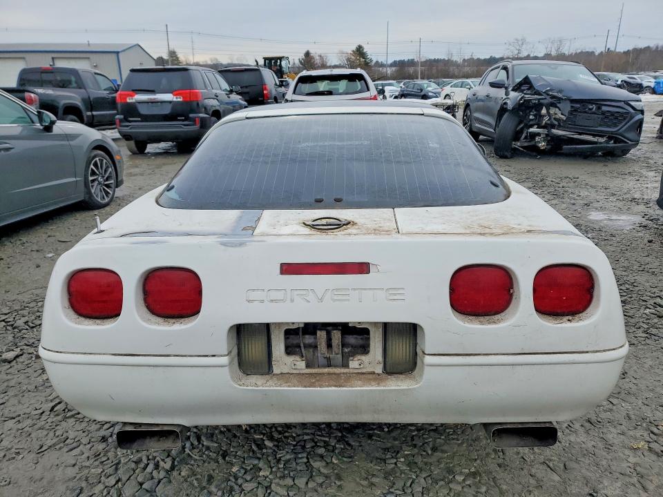 Photo 6 from auction – 1991 CHEVROLET CORVETTE with VIN 1G1YY2388M5102575