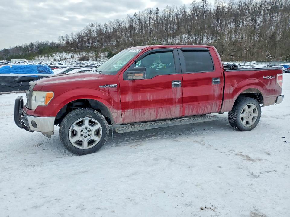FORD F-150 2013 with VIN 1FTFW1EF8DFD25459 - Photo from auction