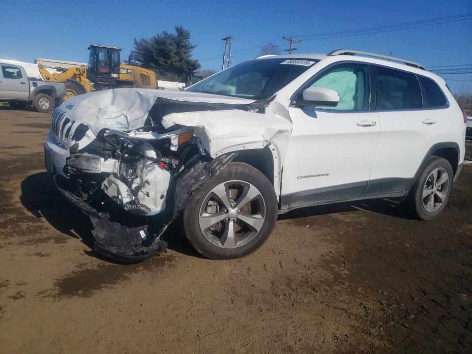 JEEP CHEROKEE L 2020 with VIN 1C4PJMDX5LD566078 - Photo from auction
