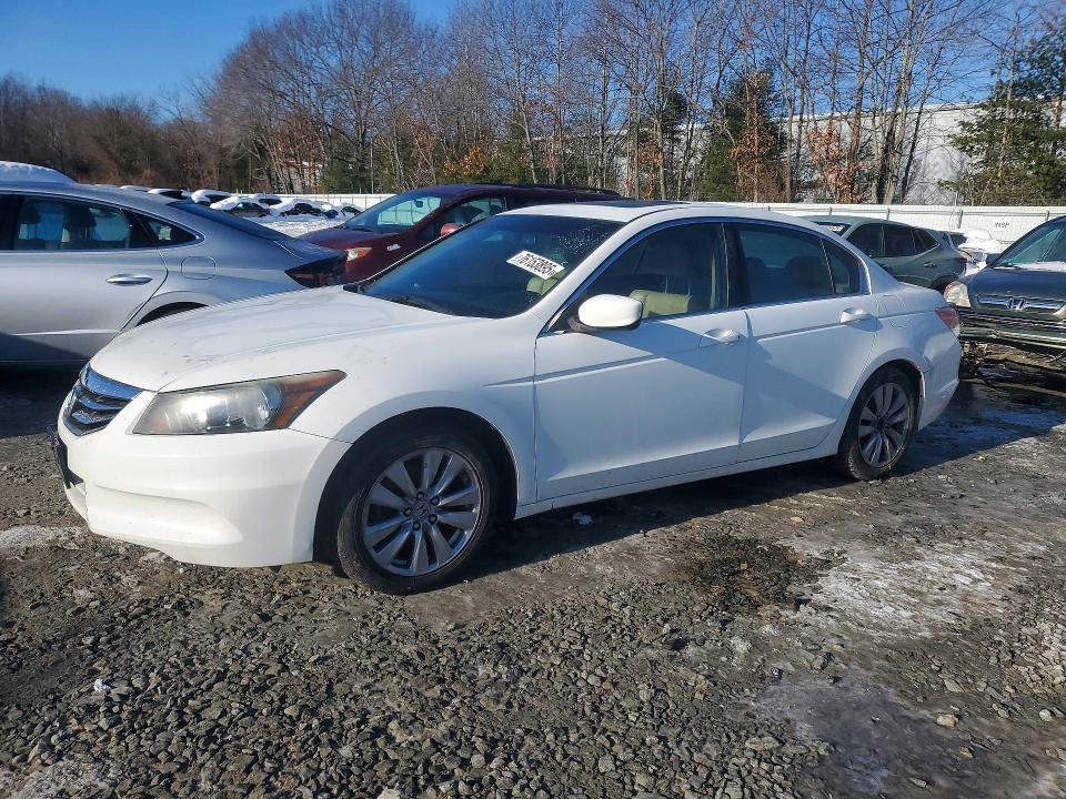 HONDA ACCORD EXL 2012 with VIN 1HGCP2F81CA146747 - Photo from auction
