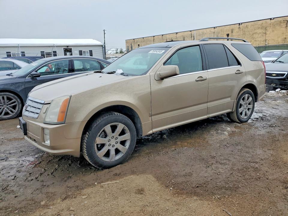 CADILLAC SRX 2006 with VIN 1GYEE637560204170 - Photo from auction