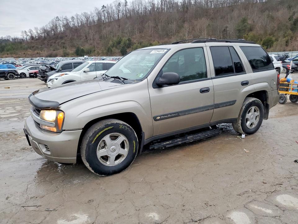 CHEVROLET TRAILBLAZER 2003 with VIN 1GNDT13S532333225 - Photo from auction