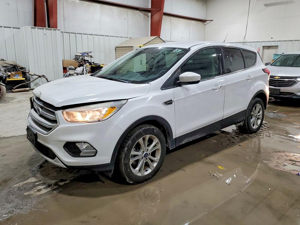 FORD ESCAPE 2019 with VIN 1FMCU0GD1KUC07868 - Photo from auction