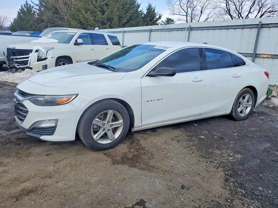 CHEVROLET MALIBU 2020 with VIN 1G1ZB5ST2LF157738 - Photo from auction