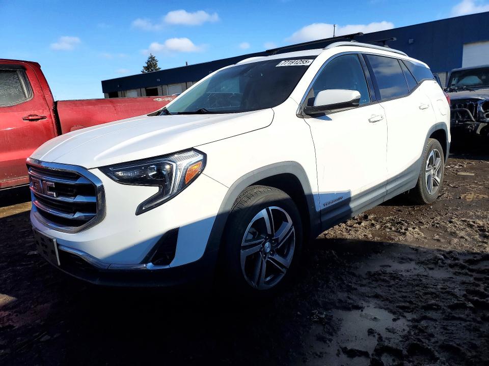 GMC TERRAIN 2019 with VIN 3GKALPEV0KL391895 - Photo from auction