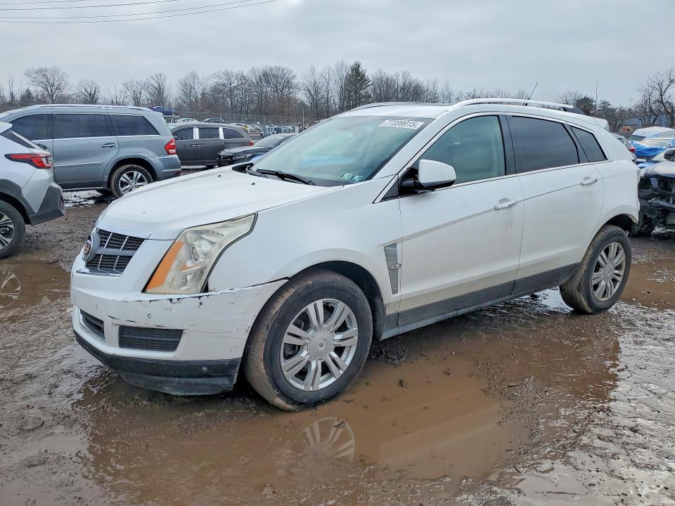 CADILLAC SRX LUXURY 2010 with VIN 3GYFNAEY8AS592719 - Photo from auction