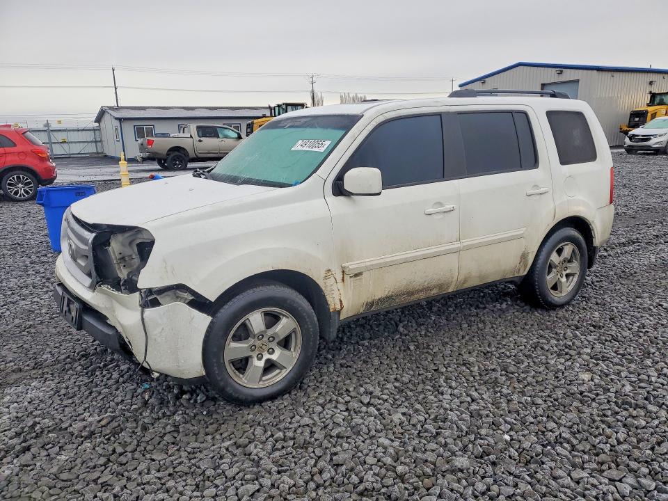 HONDA PILOT EXL 2009 with VIN 5FNYF48519B033659 - Photo from auction