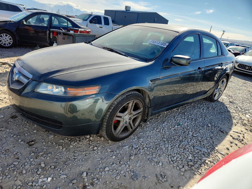 ACURA TL 2004 with VIN 19UUA66234A044991 - Photo from auction