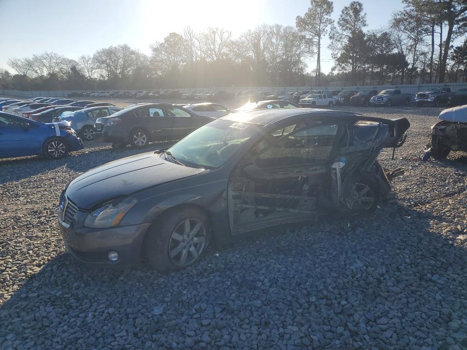 NISSAN MAXIMA SE 2006 with VIN 1N4BA41EX6C818565 - Photo from auction