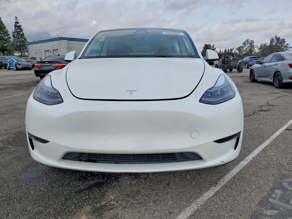 Photo 5 from auction – 2025 TESLA MODEL Y with VIN 7SAYGDED1SF255166