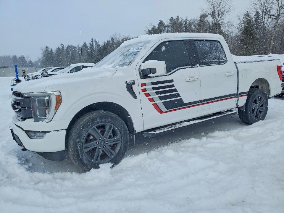 FORD F150 2021 z numerem VIN 1FTEW1EP2MKD75916 - Zdjęcie z aukcji