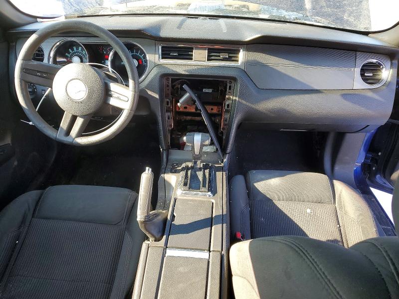 Photo 8 from auction – 2010 FORD MUSTANG with VIN 1ZVBP8CH8A5168684