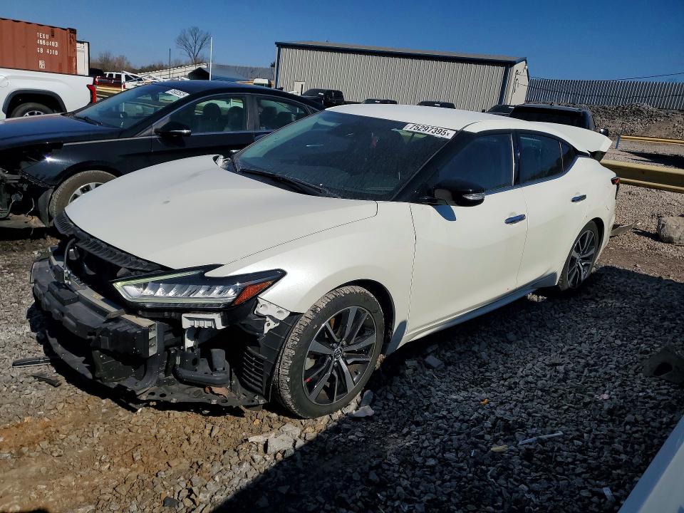 NISSAN MAXIMA 2021 с VIN 1N4AA6CV2MC505205 - Фото с аукциона