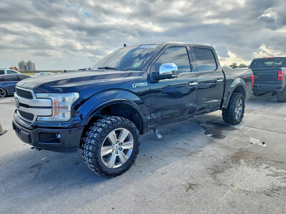 FORD F150 2019 with VIN 1FTEW1E4XKFA92482 - Photo from auction