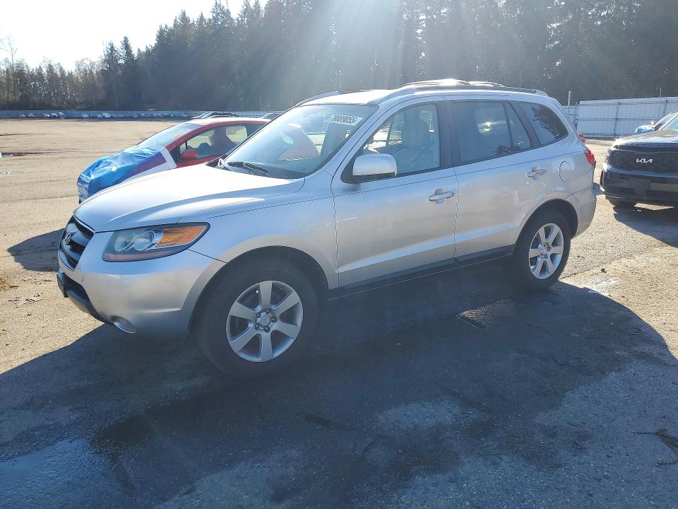 HYUNDAI SANTA FE 2007 with VIN 5NMSH13E47H001533 - Photo from auction