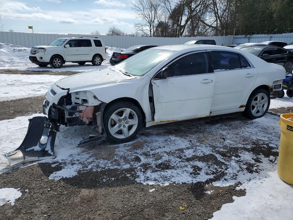 CHEVROLET MALIBU 2010 with VIN 1G1ZB5E09AF203449 - Photo from auction