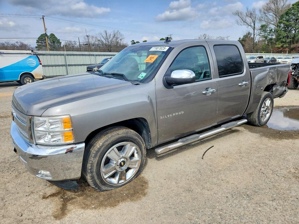 CHEVROLET SILVERADO 2013 with VIN 3GCPCSE06DG139044 - Photo from auction