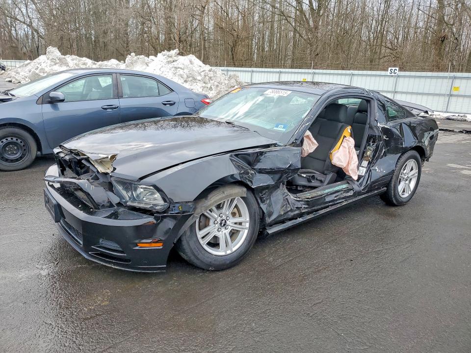FORD MUSTANG 2013 with VIN 1ZVBP8AM9D5220179 - Photo from auction