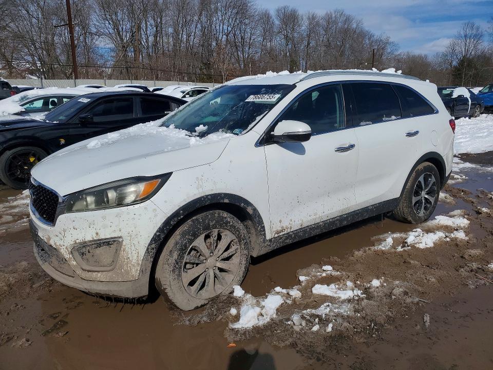 KIA SORENTO 2016 with VIN 5XYPHDA18GG024847 - Photo from auction