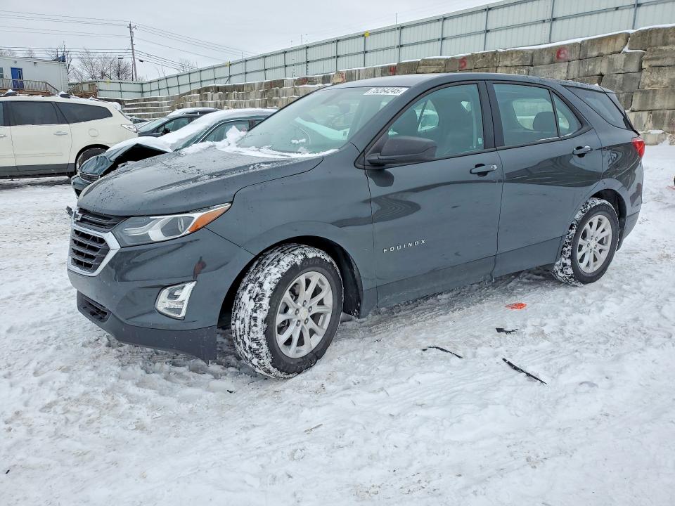 CHEVROLET EQUINOX LS 2019 with VIN 3GNAXHEVXKS591458 - Photo from auction