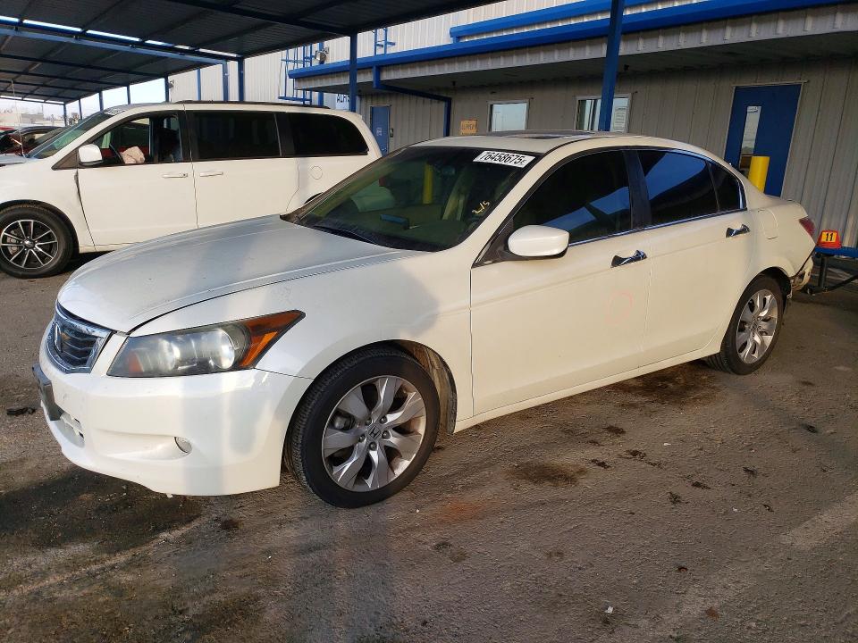 HONDA ACCORD EXL 2010 with VIN 1HGCP3F83AA005083 - Photo from auction