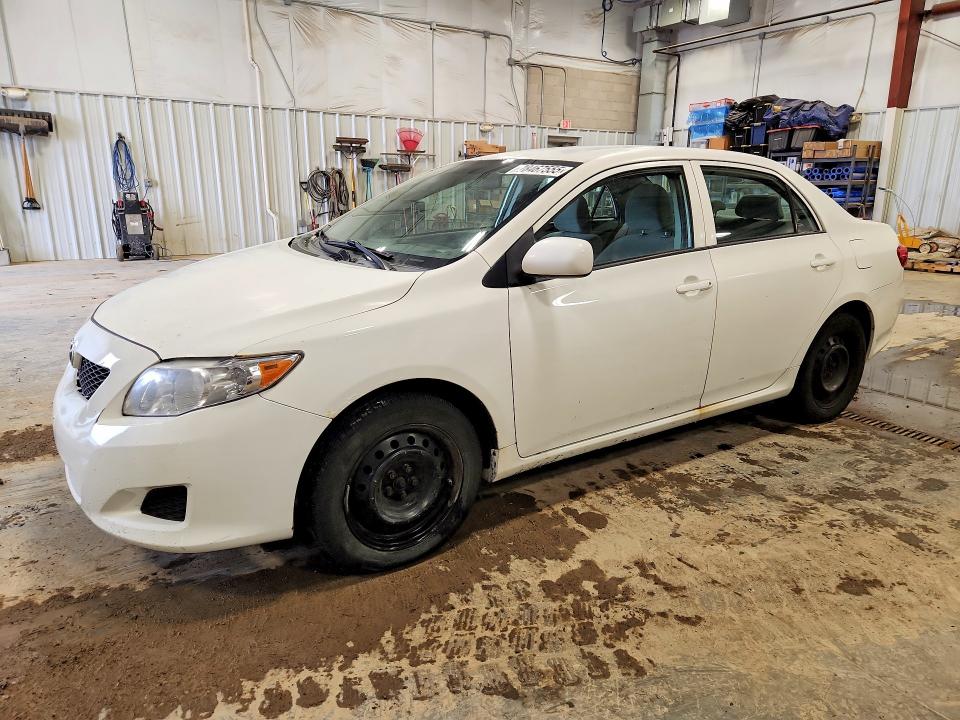 TOYOTA COROLLA BA 2010 with VIN 2T1BU4EE1AC251626 - Photo from auction