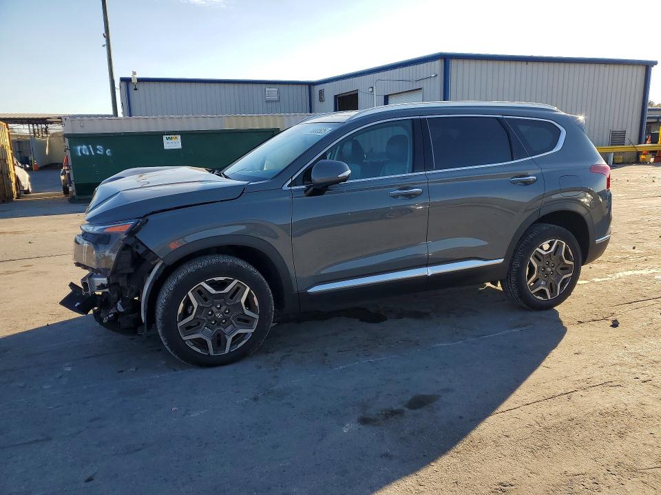 HYUNDAI SANTA FE L 2023 with VIN 5NMS4DAL9PH531723 - Photo from auction