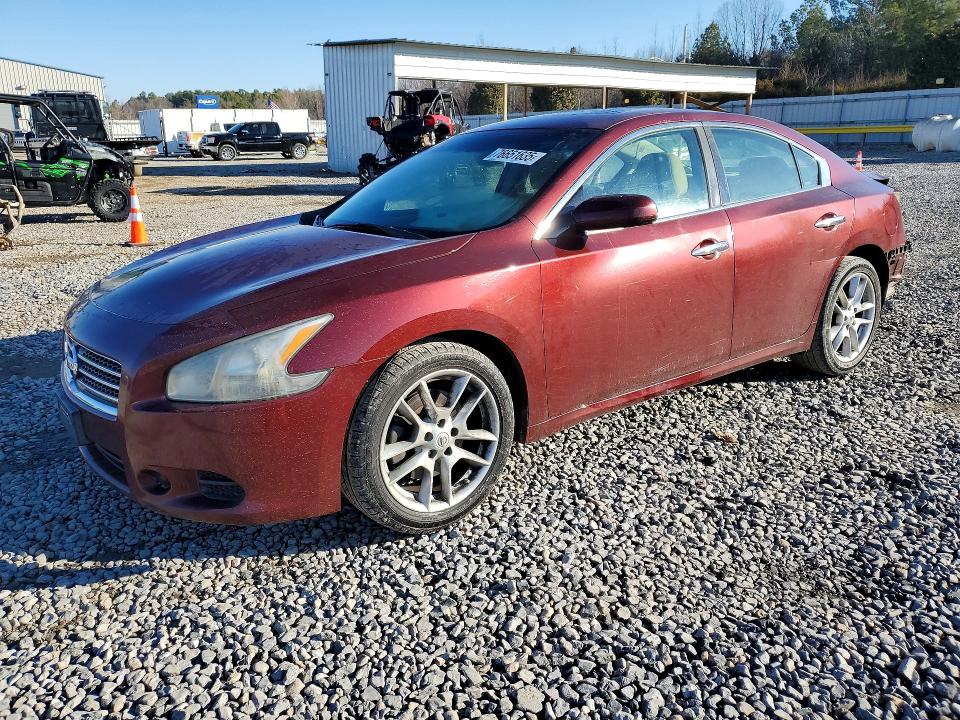 NISSAN MAXIMA S 2009 с VIN 1N4AA51E19C828911 - Фото с аукциона
