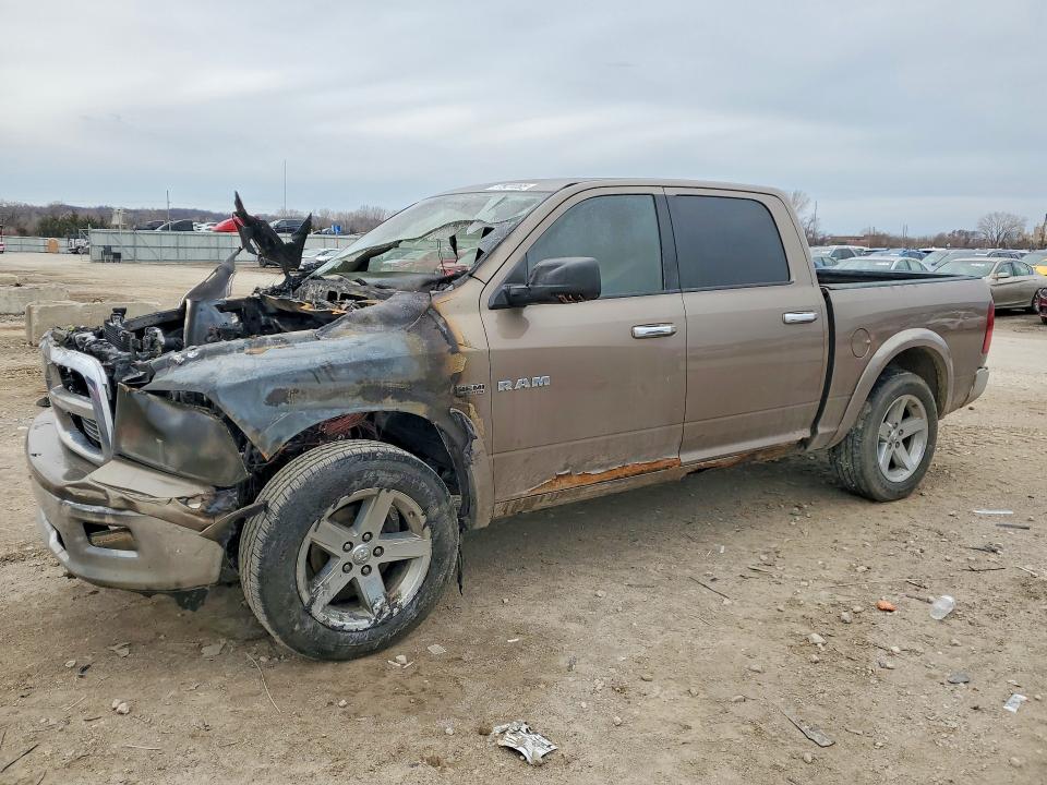 DODGE RAM 1500 2009 with VIN 1D3HV13T59S748767 - Photo from auction