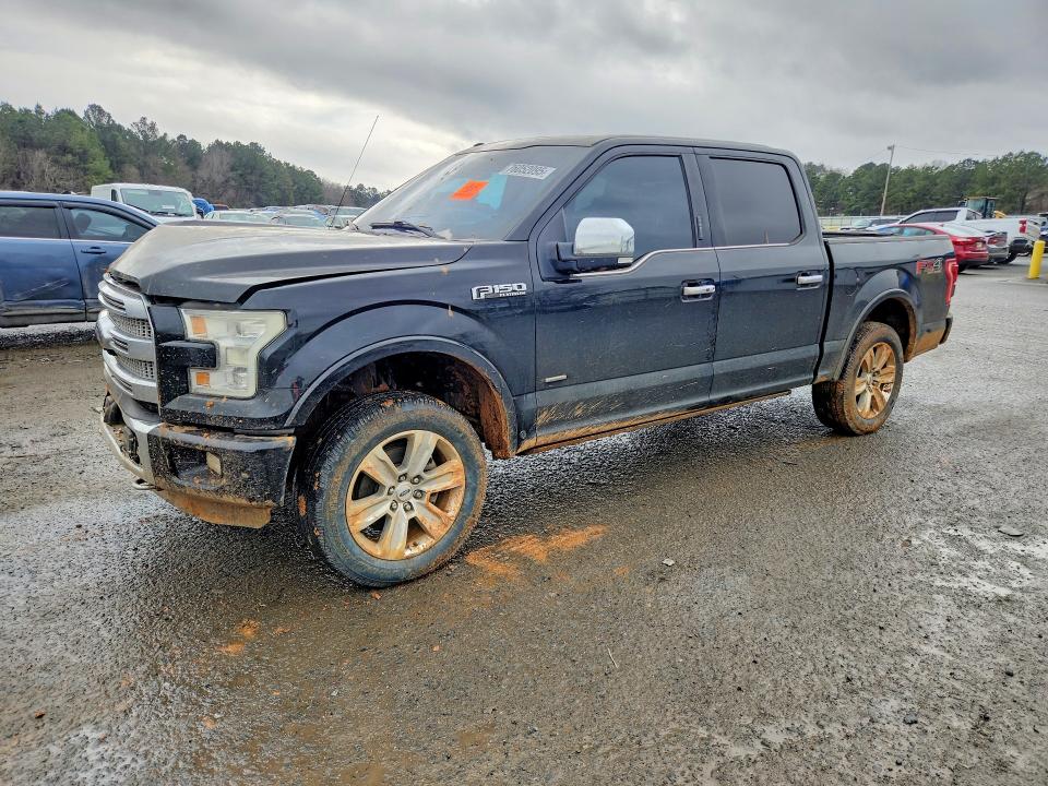 FORD F150 2016 with VIN 1FTEW1EG4GFC07319 - Photo from auction