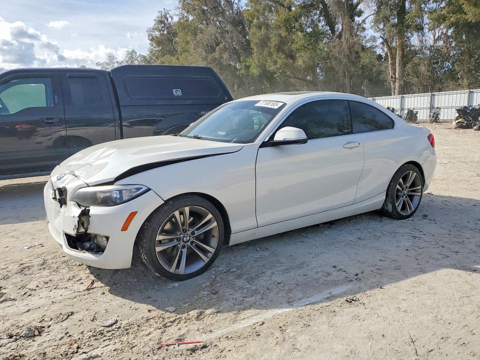 BMW 228 2014 with VIN WBA1F5C54EVV99113 - Photo from auction