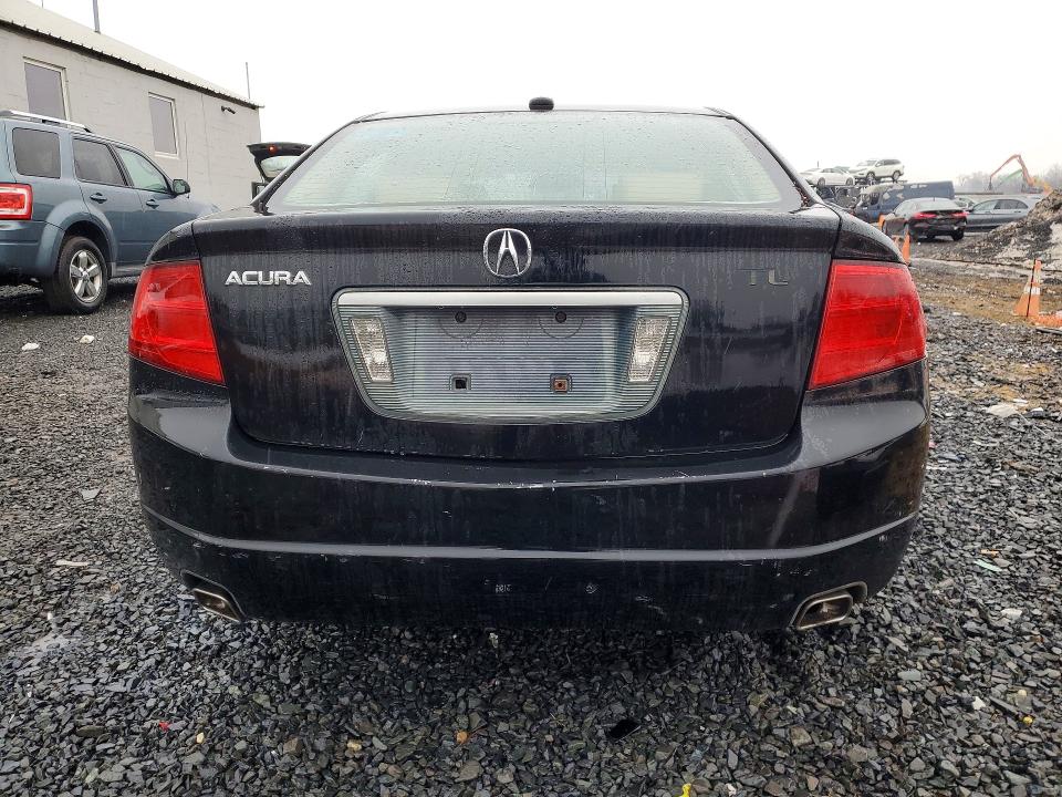 Photo 6 from auction – 2004 ACURA TL with VIN 19UUA66264A031801