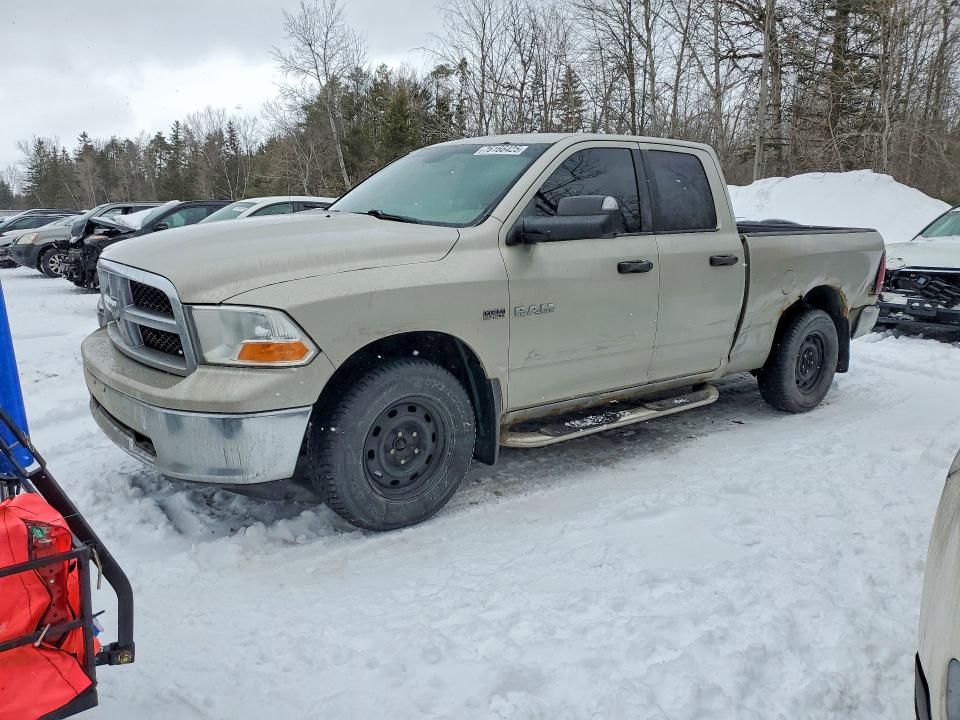 DODGE RAM 1500 2010 with VIN 1D7RV1GT1AS186805 - Photo from auction