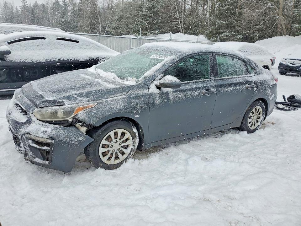 KIA FORTE FE 2019 with VIN 3KPF24AD8KE091980 - Photo from auction