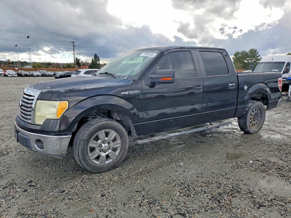 FORD F150 2010 with VIN 1FTEW1C8XAKE34668 - Photo from auction