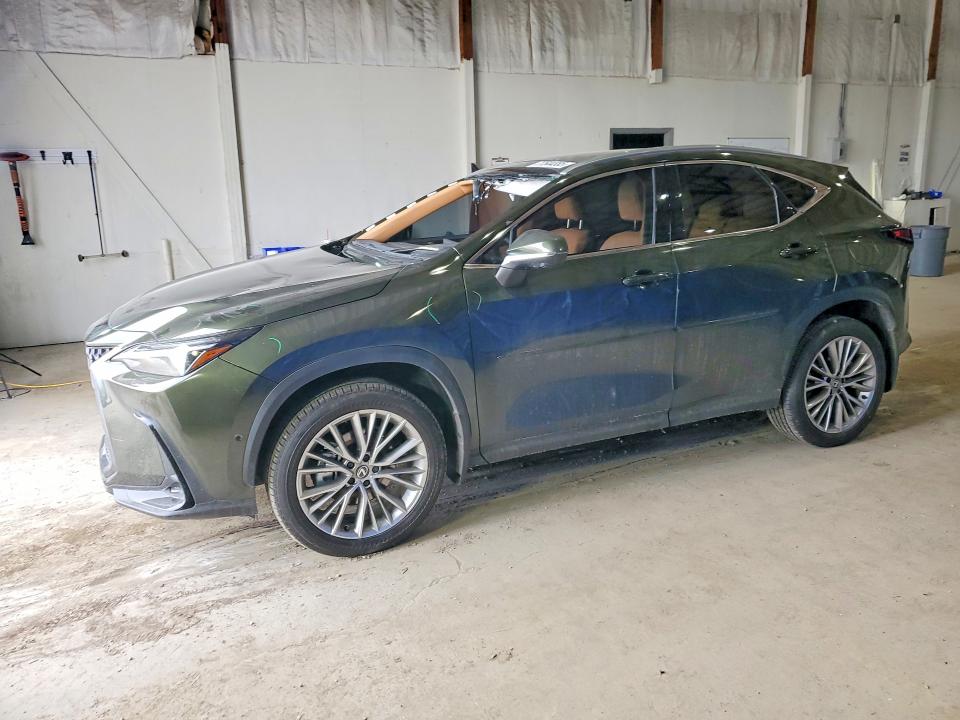 LEXUS NX 350H BA 2025 with VIN 2T2HKCEZ1SC055759 - Photo from auction