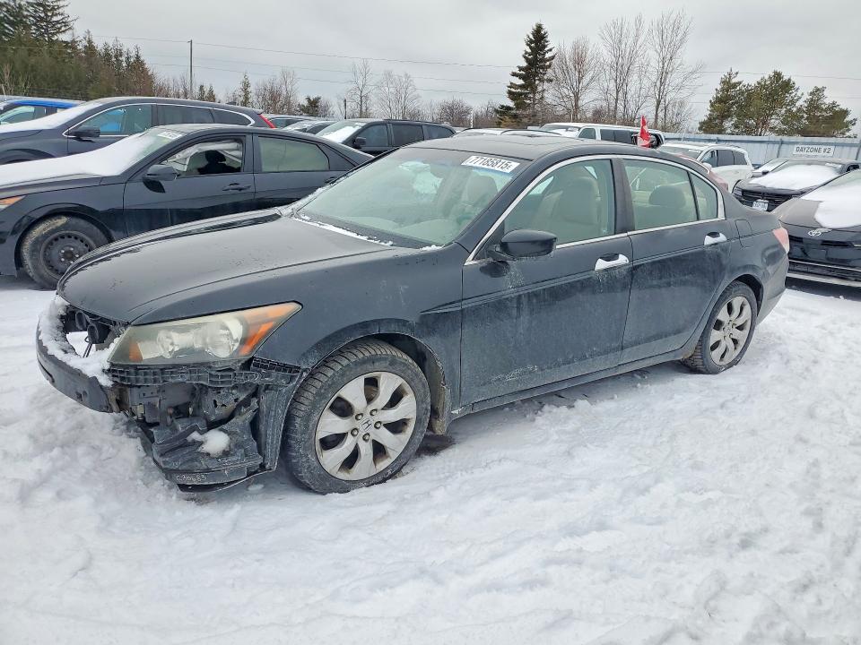 HONDA ACCORD 2008 with VIN 1HGCP36828A804654 - Photo from auction