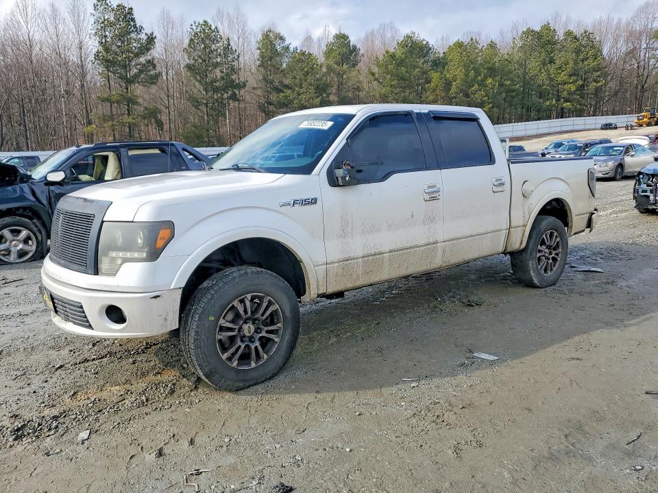 FORD F150 SUPER 2011 with VIN 1FTFW1E64BFB31248 - Photo from auction