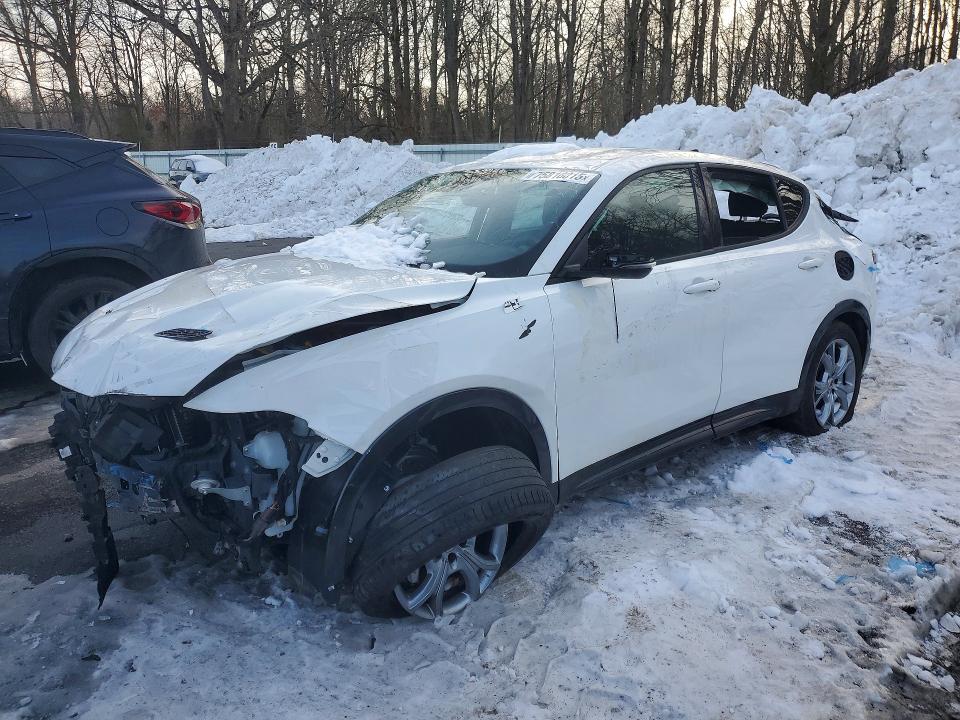 DODGE HORNET 2024 with VIN ZACPDFCW9R3A30263 - Photo from auction