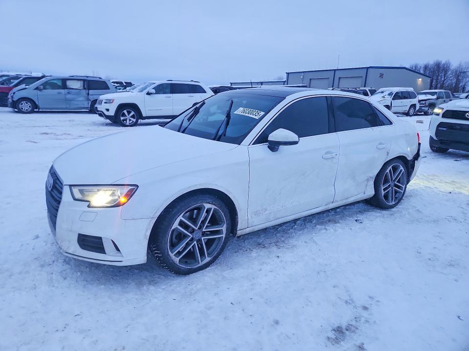 AUDI A3 2019 with VIN WAUBEGFF4K1019529 - Photo from auction