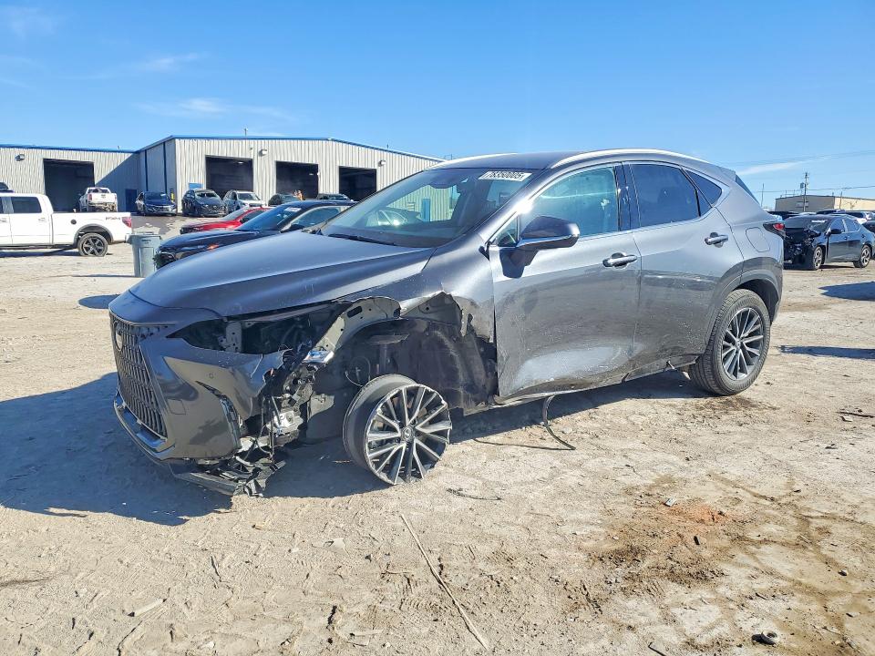 LEXUS NX 2025 with VIN 2T2ADCAZ2SC021203 - Photo from auction