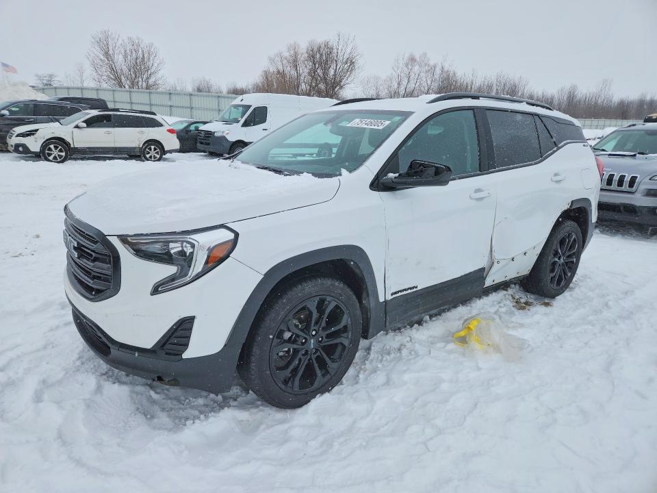 GMC TERRAIN SL 2019 with VIN 3GKALTEV2KL330900 - Photo from auction