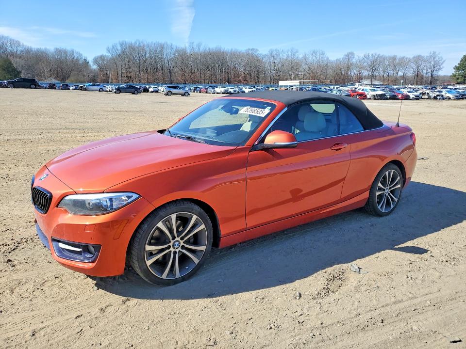 BMW 228 2016 with VIN WBA1L9C59GV767458 - Photo from auction
